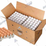 شاخص البیض