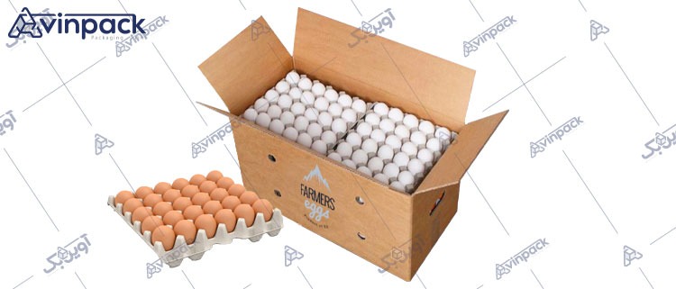 شاخص البیض