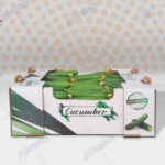 كرتون تغليف الخيار