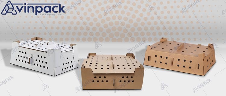 کراتین الخاصه للحمل الدواجن عمرهم یوما واحد و طریق تسلیمهم